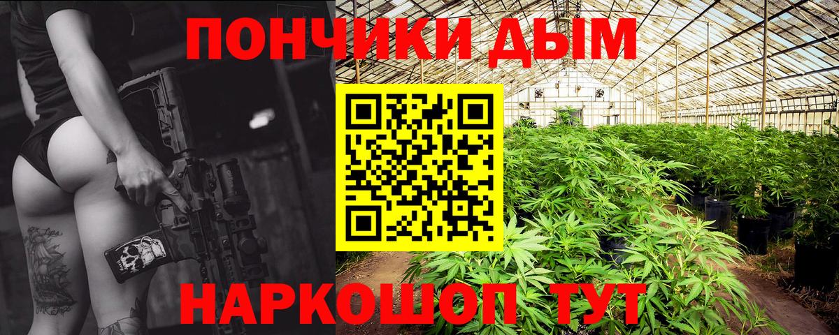 Шишки марихуана планчик Кемерово
